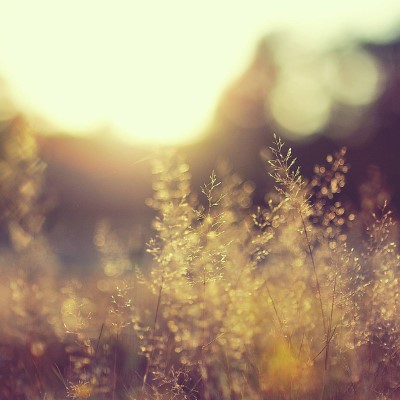 1920 x 1080 HD Wallpapers 1927